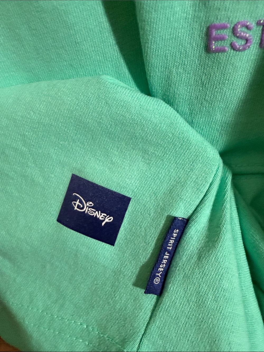 Disney Disneyland Blue and Purple Spirit Jersey for Adults size small - Picture 12 of 12